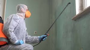 Best Industrial Mold Remediation  in Round Lake Beach, IL